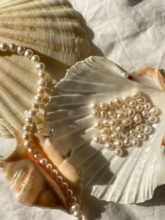 What are the Most Expensive Pearls in India?